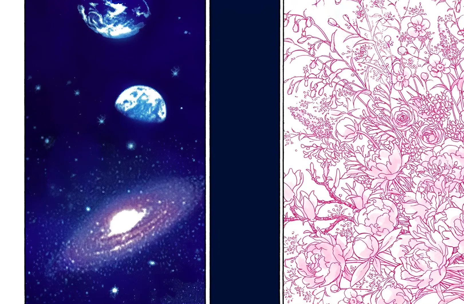 Hunter x Hunter Colored Manga