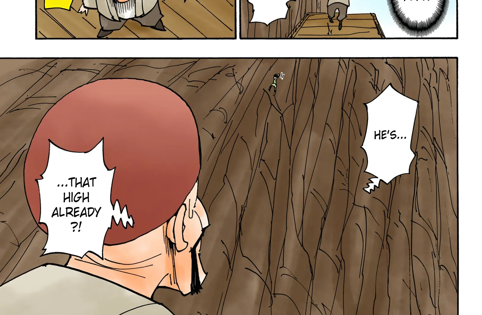 Hunter x Hunter Colored Manga