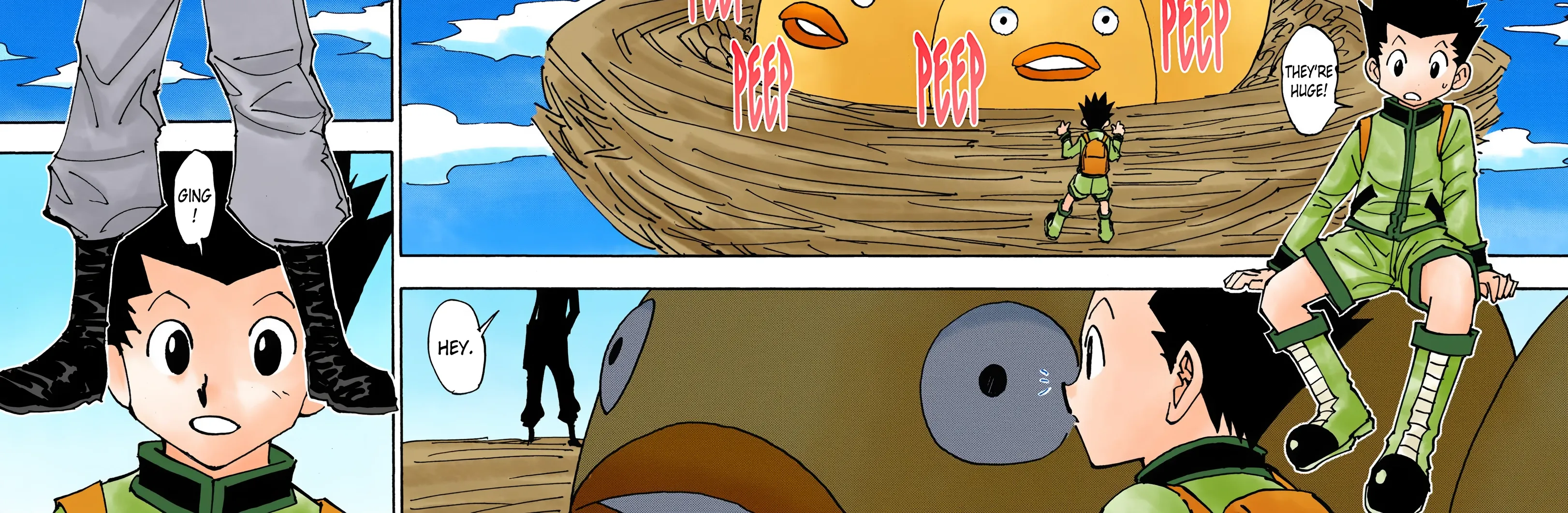 Hunter x Hunter Colored Manga