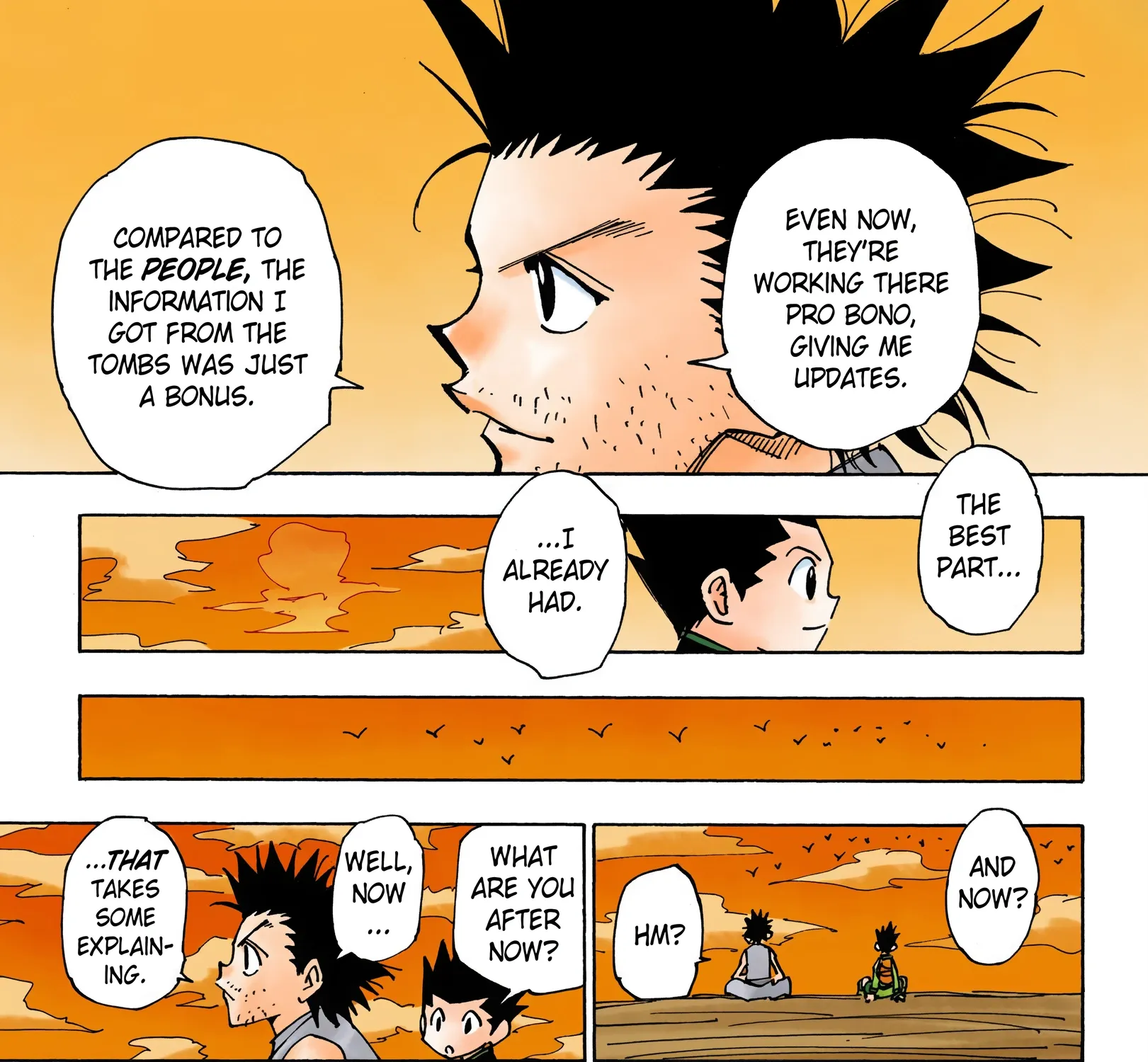 Hunter x Hunter Colored Manga