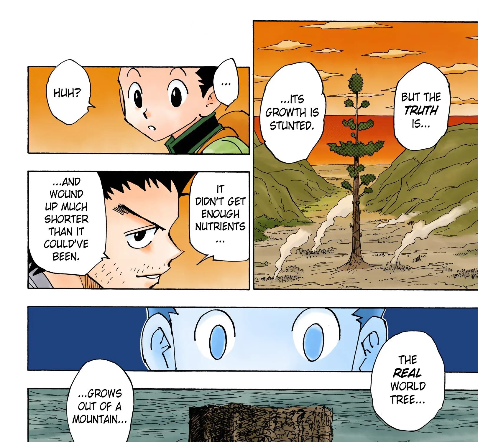 Hunter x Hunter Colored Manga