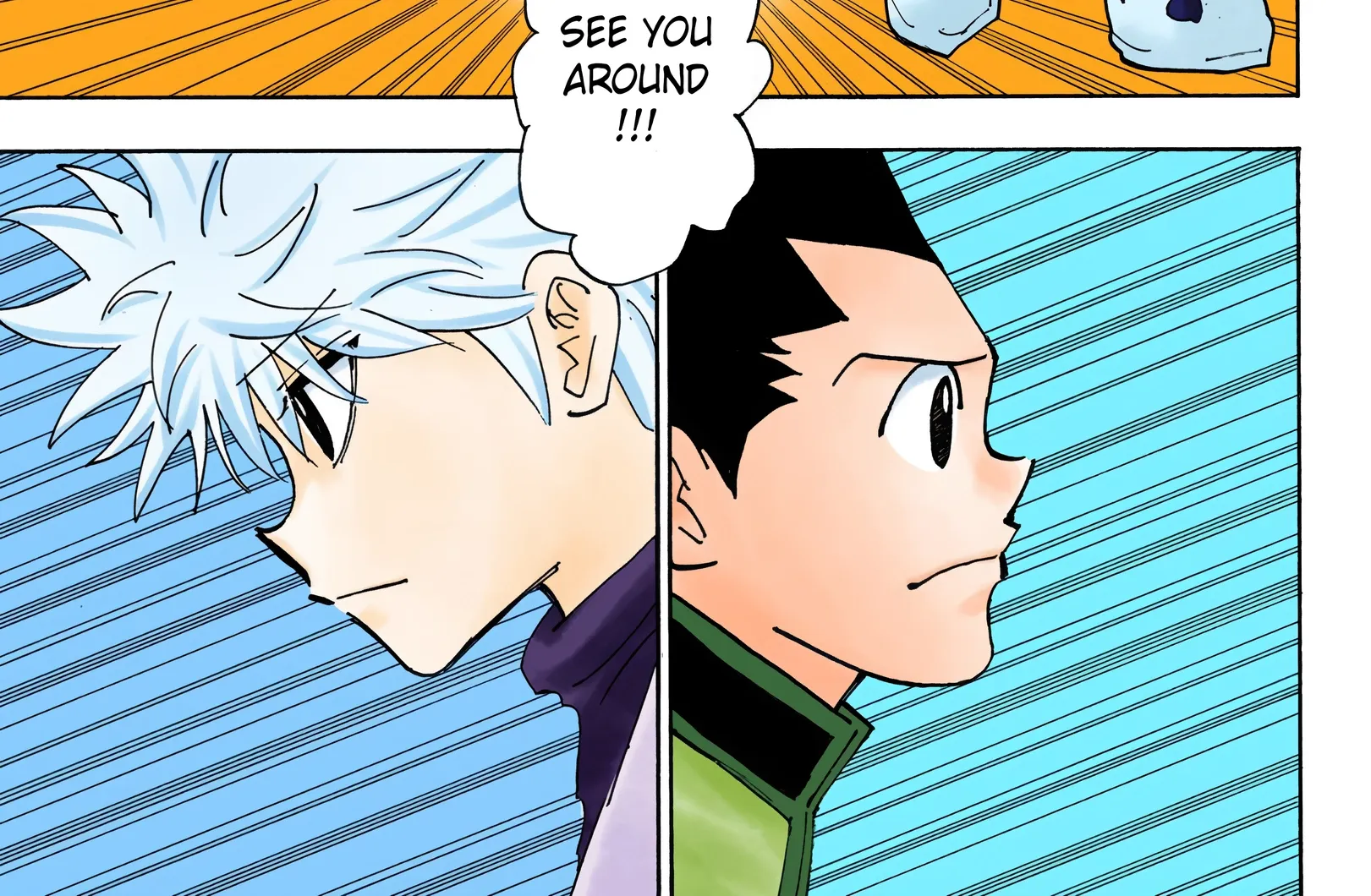 Hunter x Hunter Colored Manga