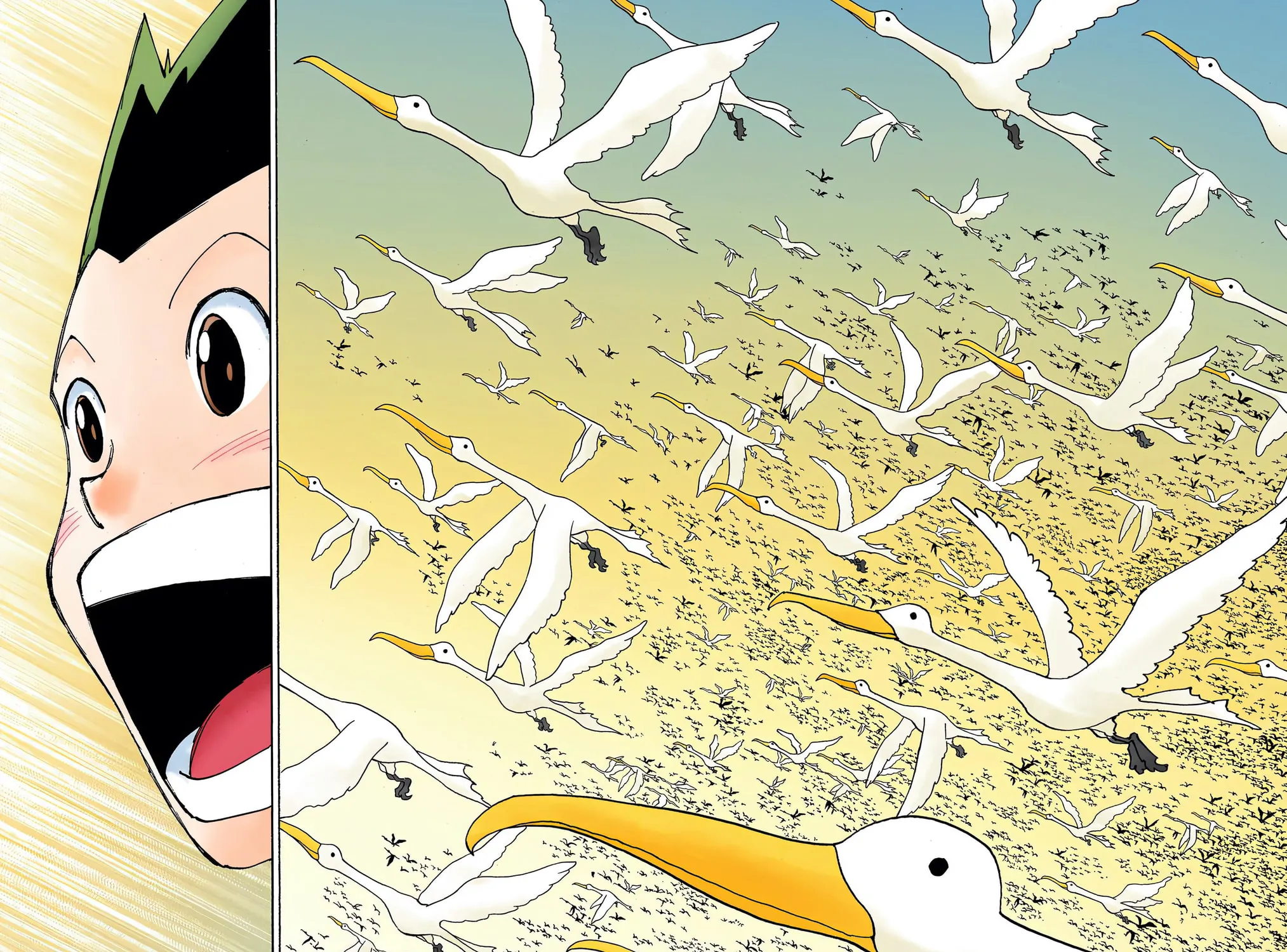 Hunter x Hunter Colored Manga