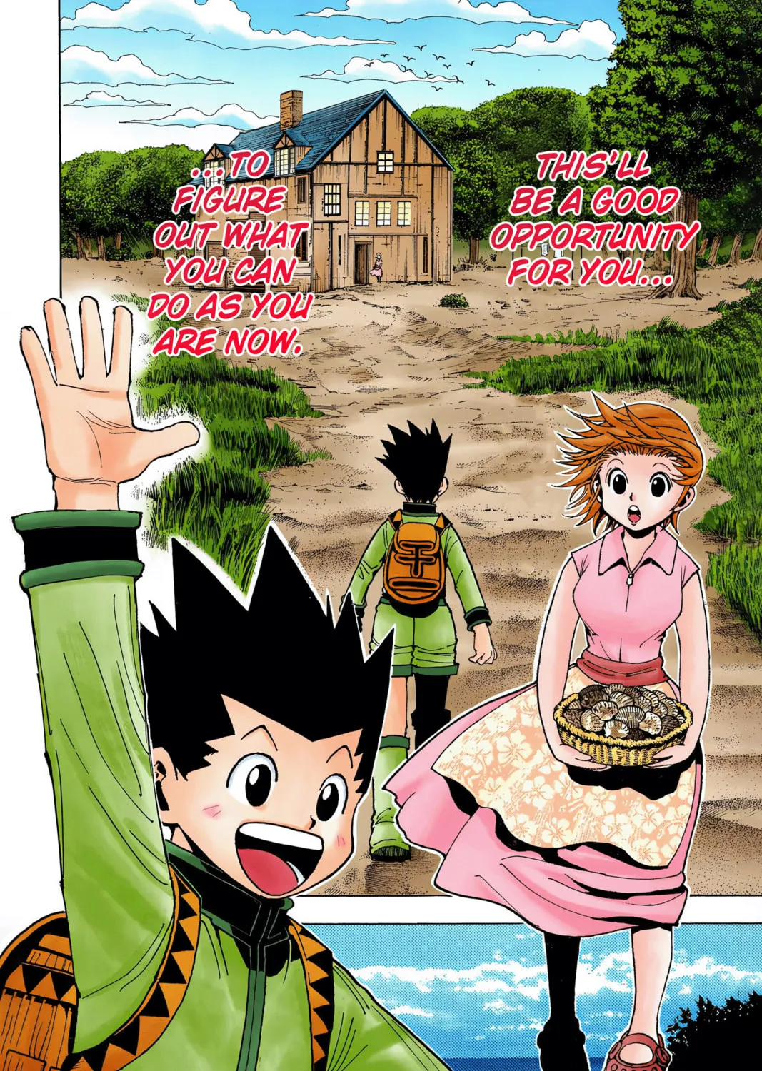 Hunter x Hunter Colored Manga