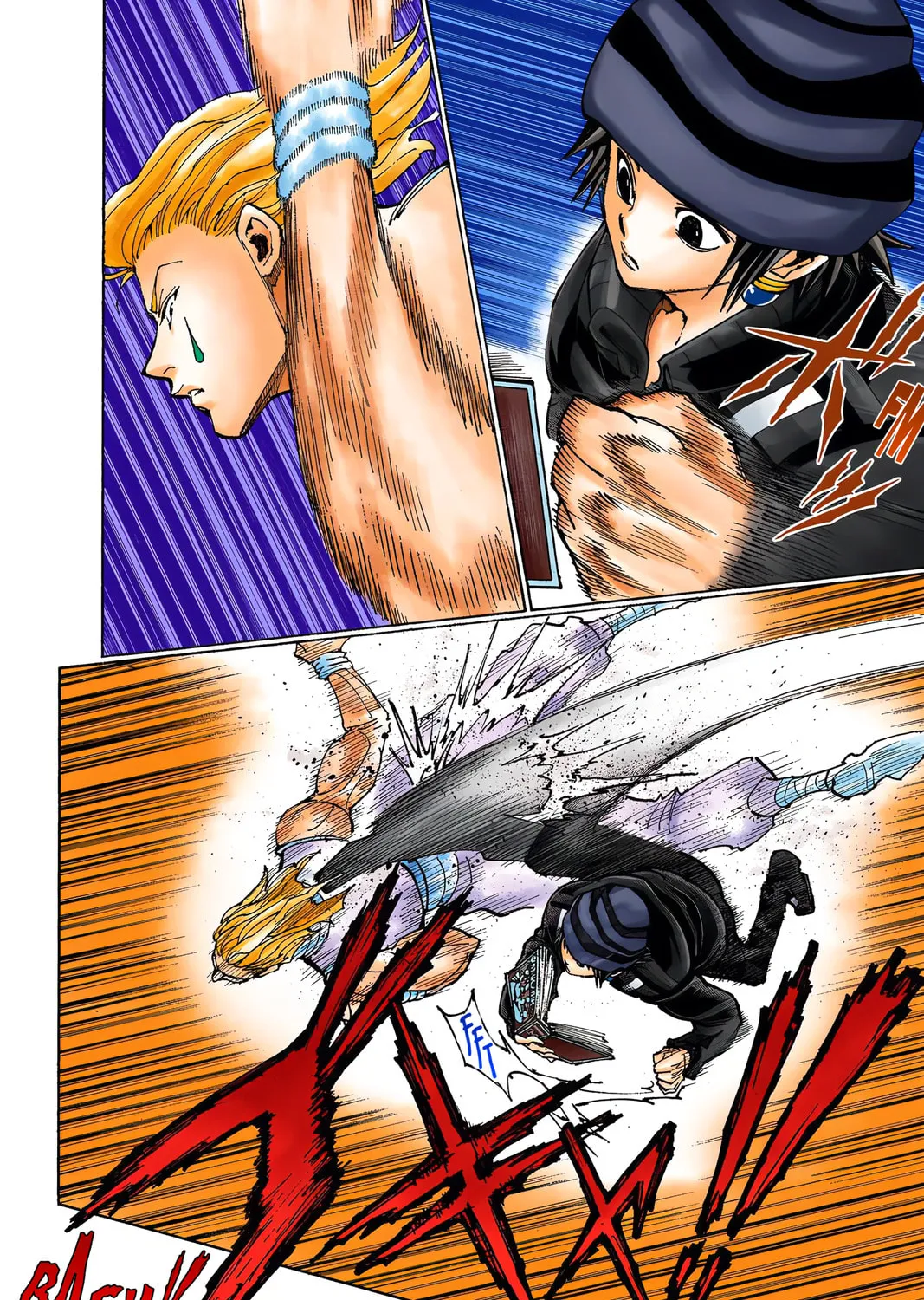 Hunter x Hunter Colored Manga