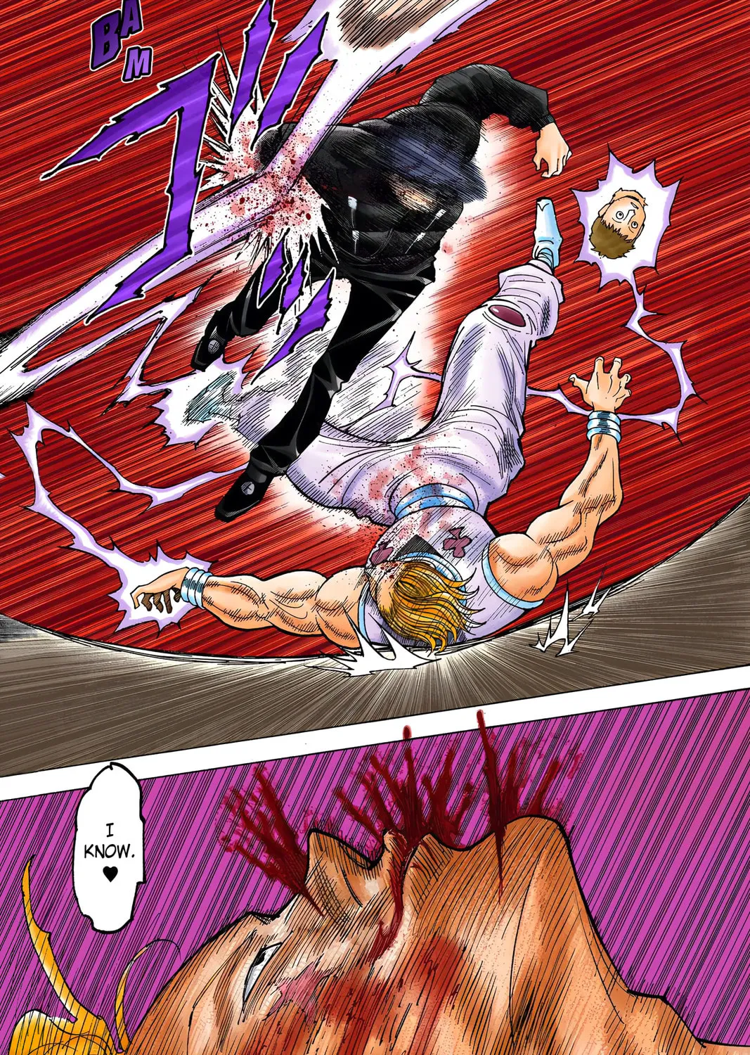 Hunter x Hunter Colored Manga