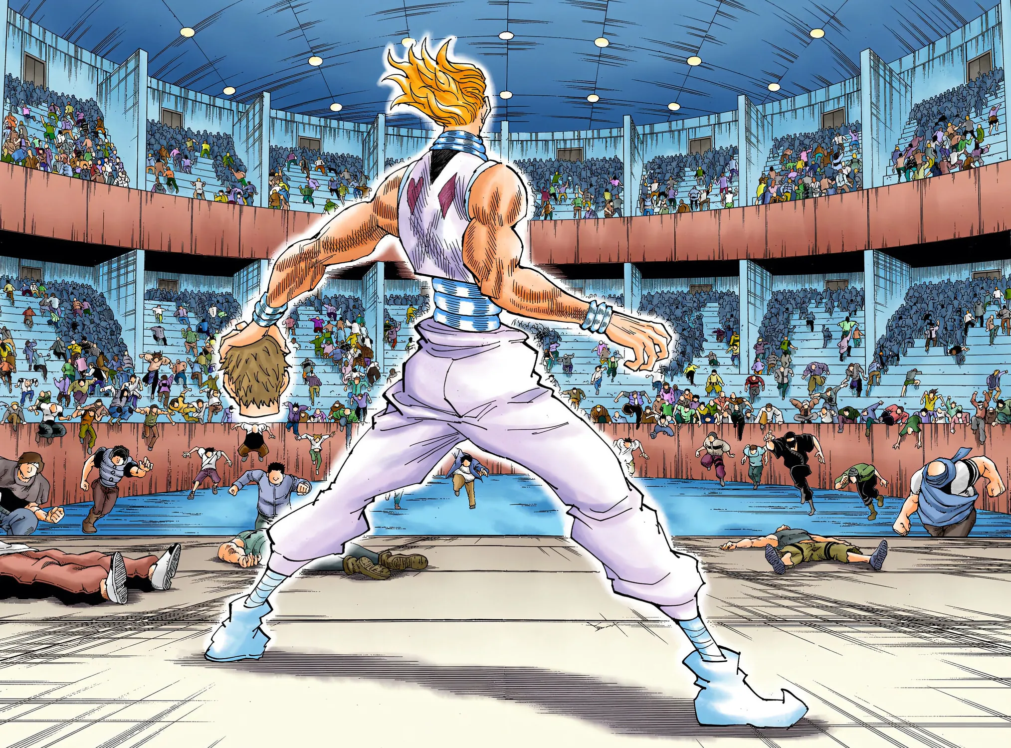 Hunter x Hunter Colored Manga