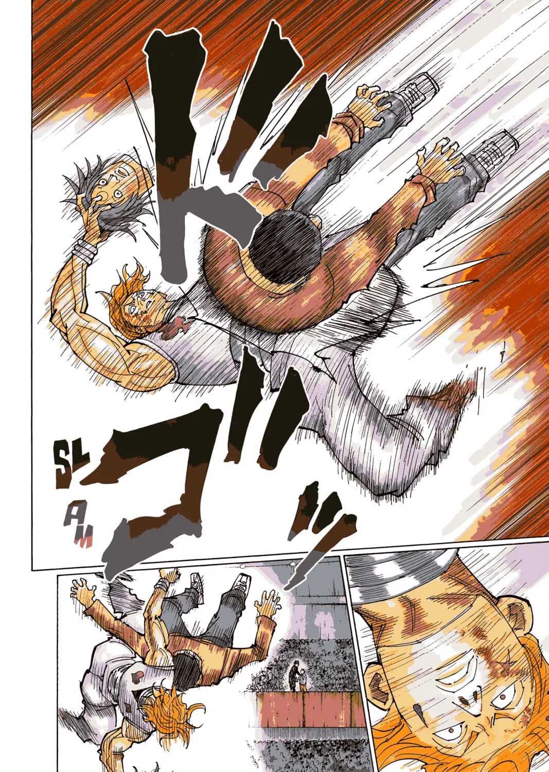 Hunter x Hunter Colored Manga