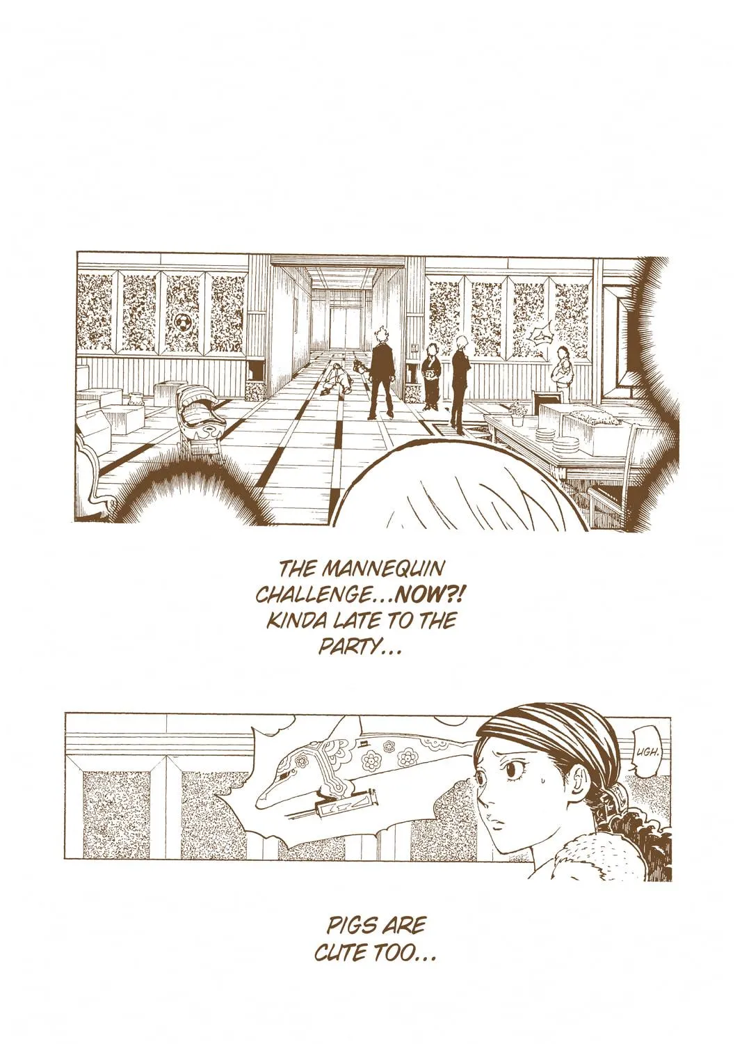 Hunter x Hunter Colored Manga