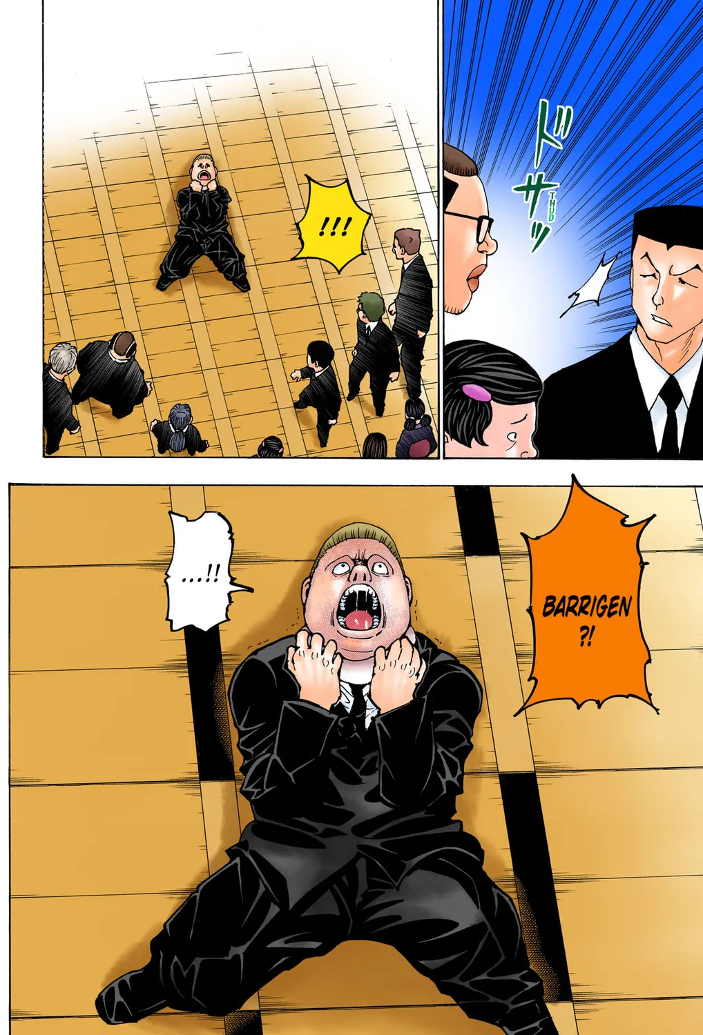 Hunter x Hunter Colored Manga