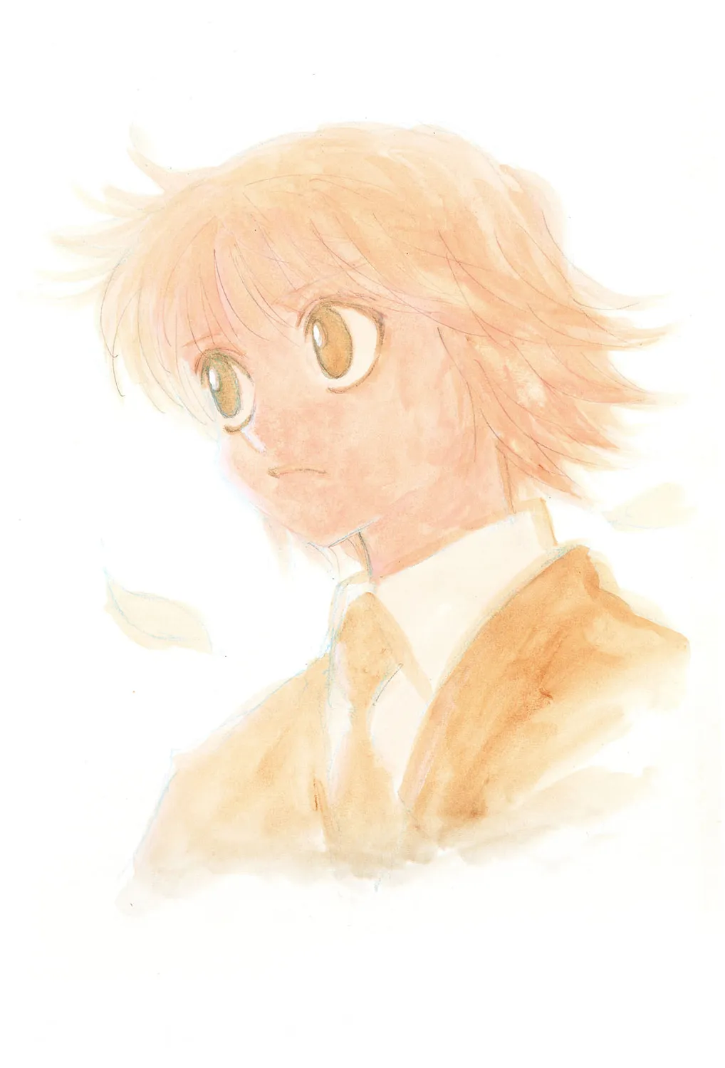 Hunter x Hunter Colored Manga