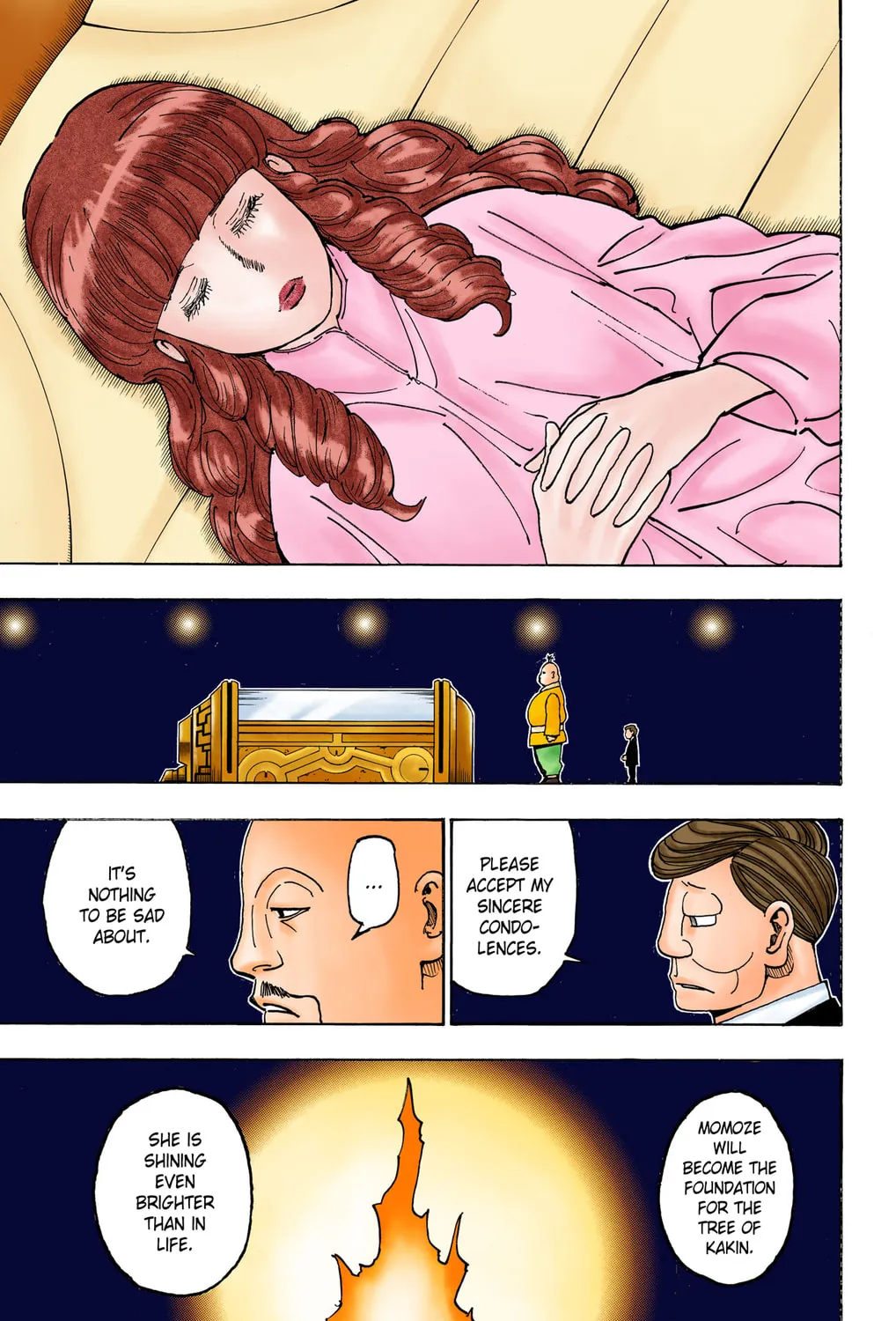 Hunter x Hunter Colored Manga