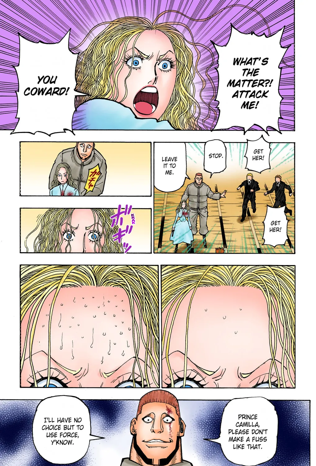 Hunter x Hunter Colored Manga