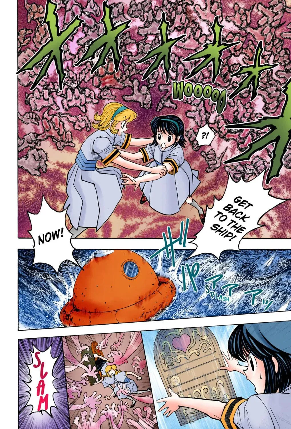 Hunter x Hunter Colored Manga