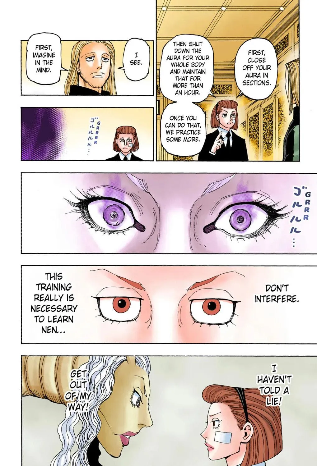 Hunter x Hunter Colored Manga