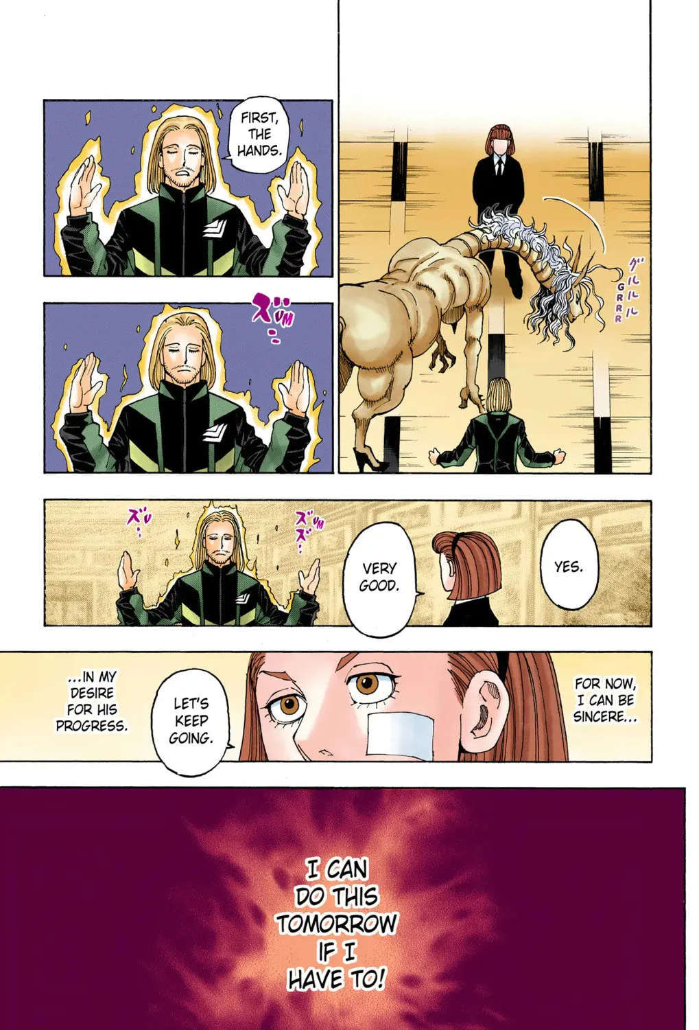 Hunter x Hunter Colored Manga