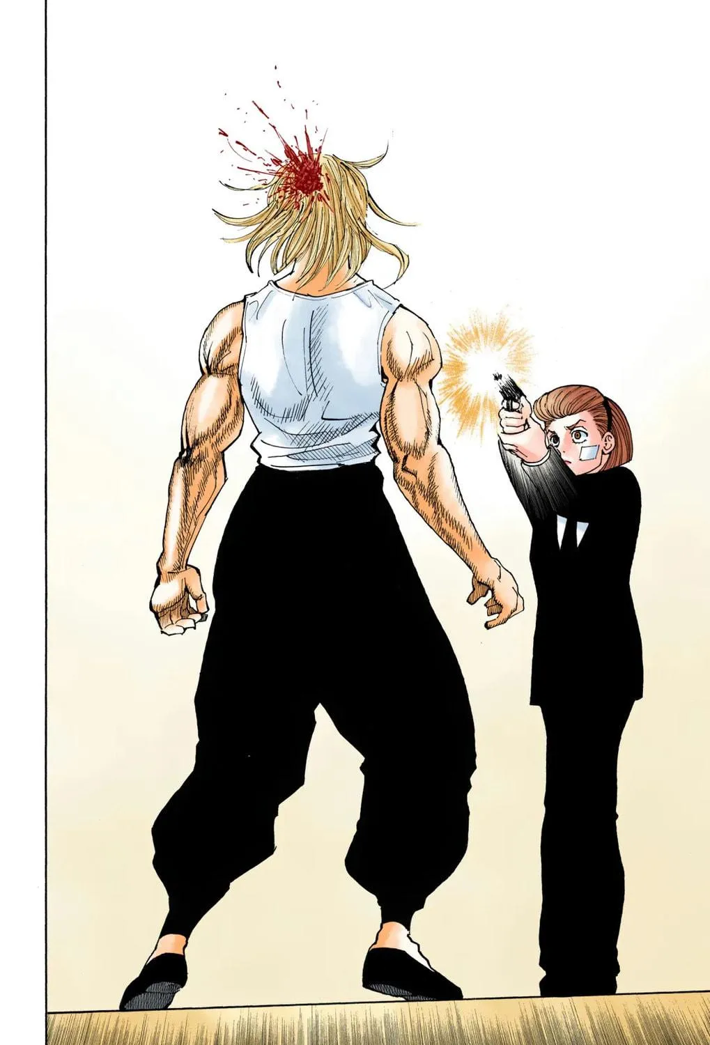 Hunter x Hunter Colored Manga