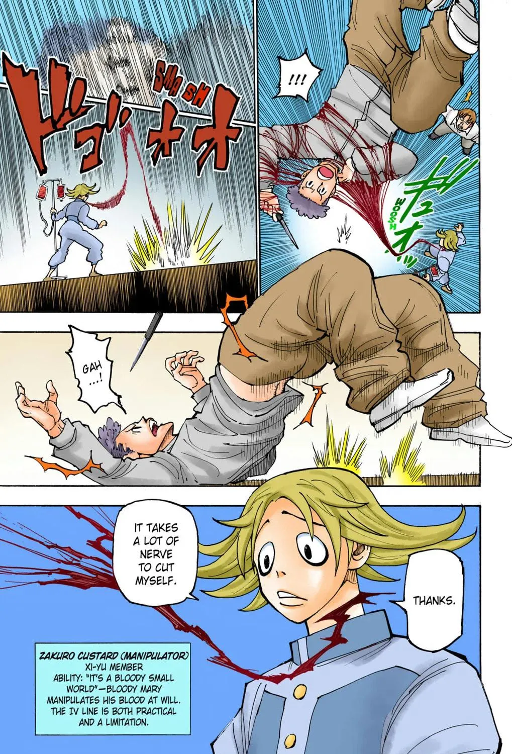Hunter x Hunter Colored Manga