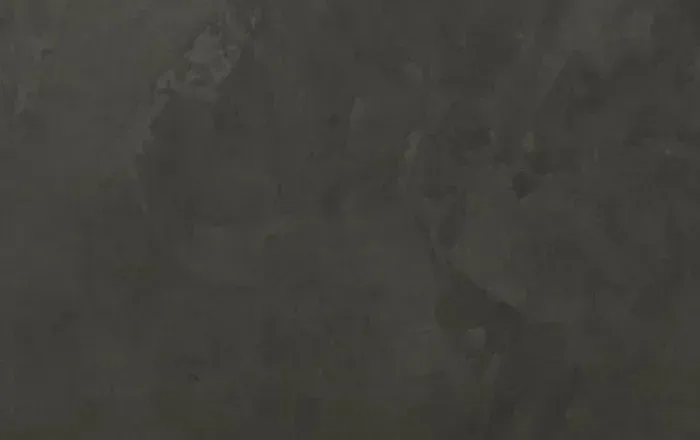 The Divine Demon’s Grand Ascension The Divine Demon’s Grand Ascension