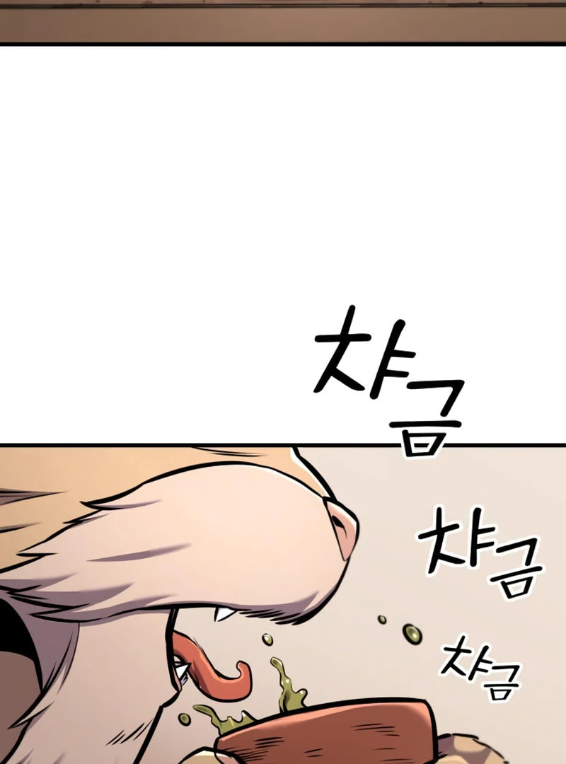 The Wandering Knight’s Survival Manual