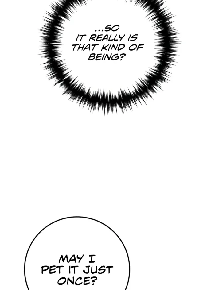 The Wandering Knight’s Survival Manual