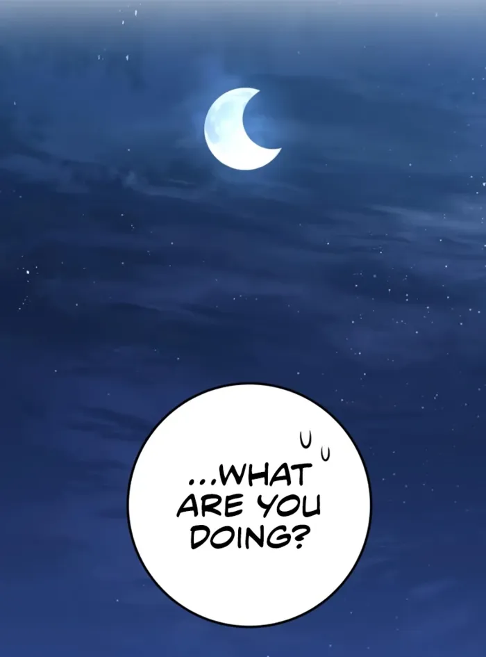 The Wandering Knight’s Survival Manual