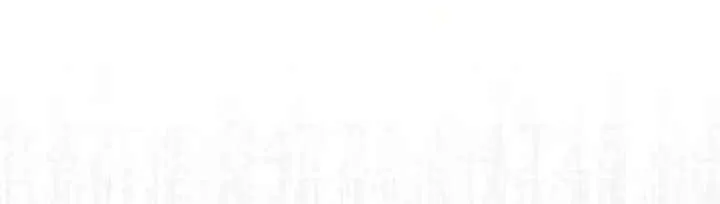 The Wandering Knight’s Survival Manual