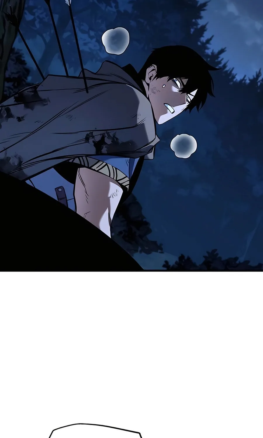 The Wandering Knight’s Survival Manual