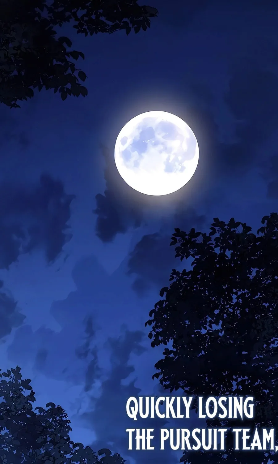 The Wandering Knight’s Survival Manual