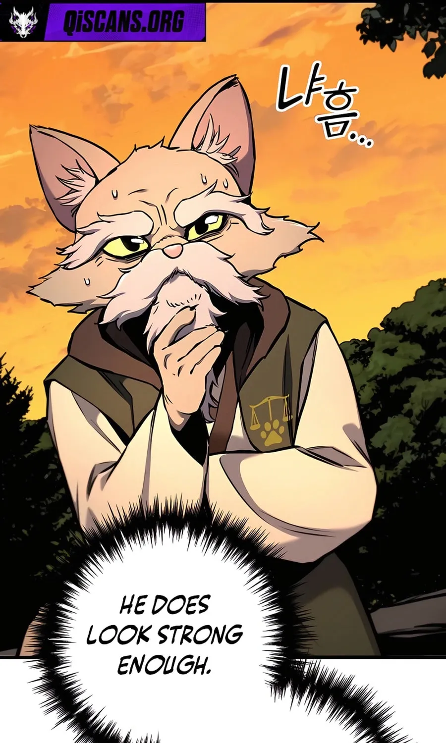 The Wandering Knight’s Survival Manual