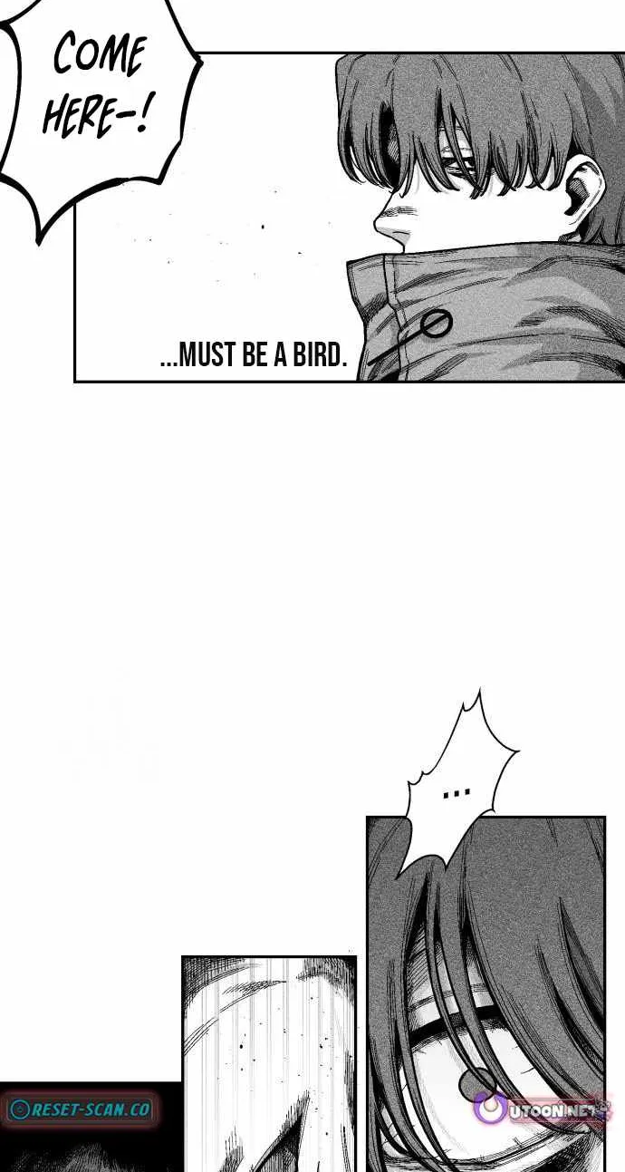 Voodoo Slam  부두슬램