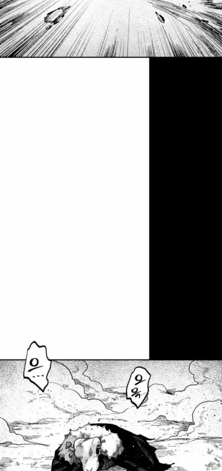 Voodoo Slam  부두슬램