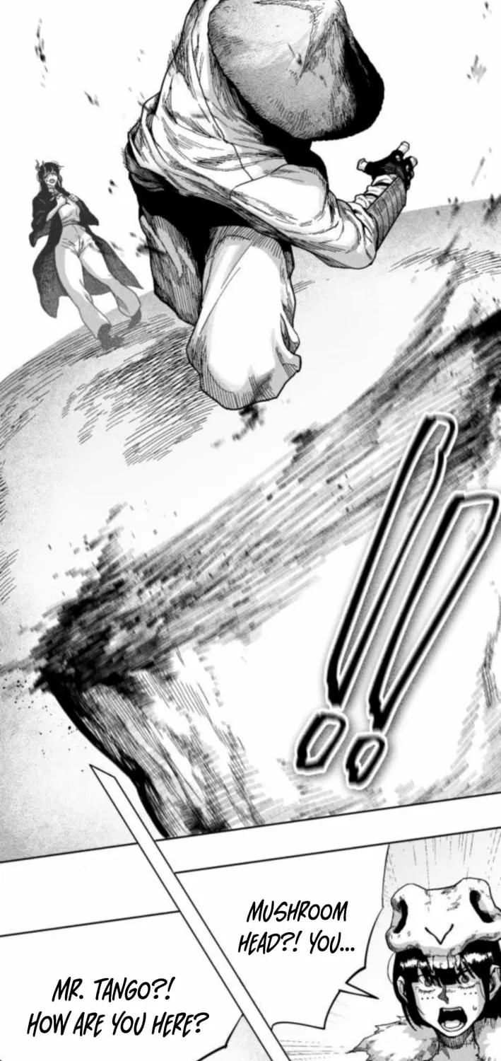 Voodoo Slam  부두슬램