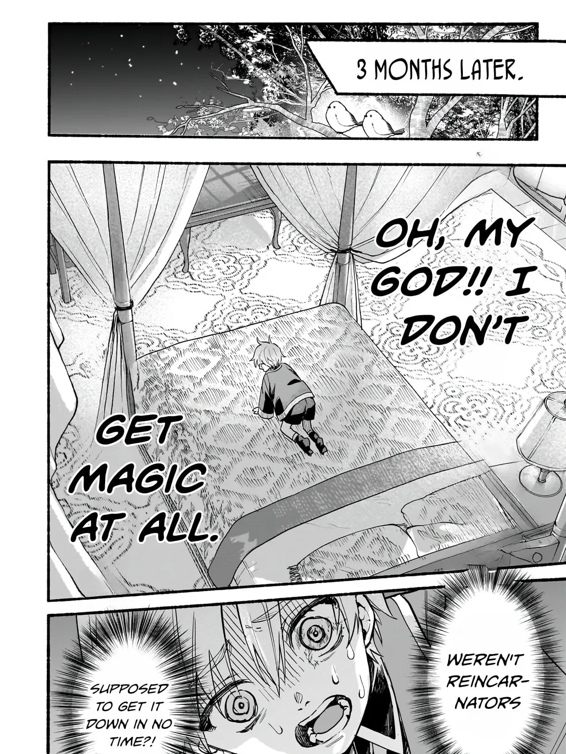 Aldo's Reincarnation in Another World