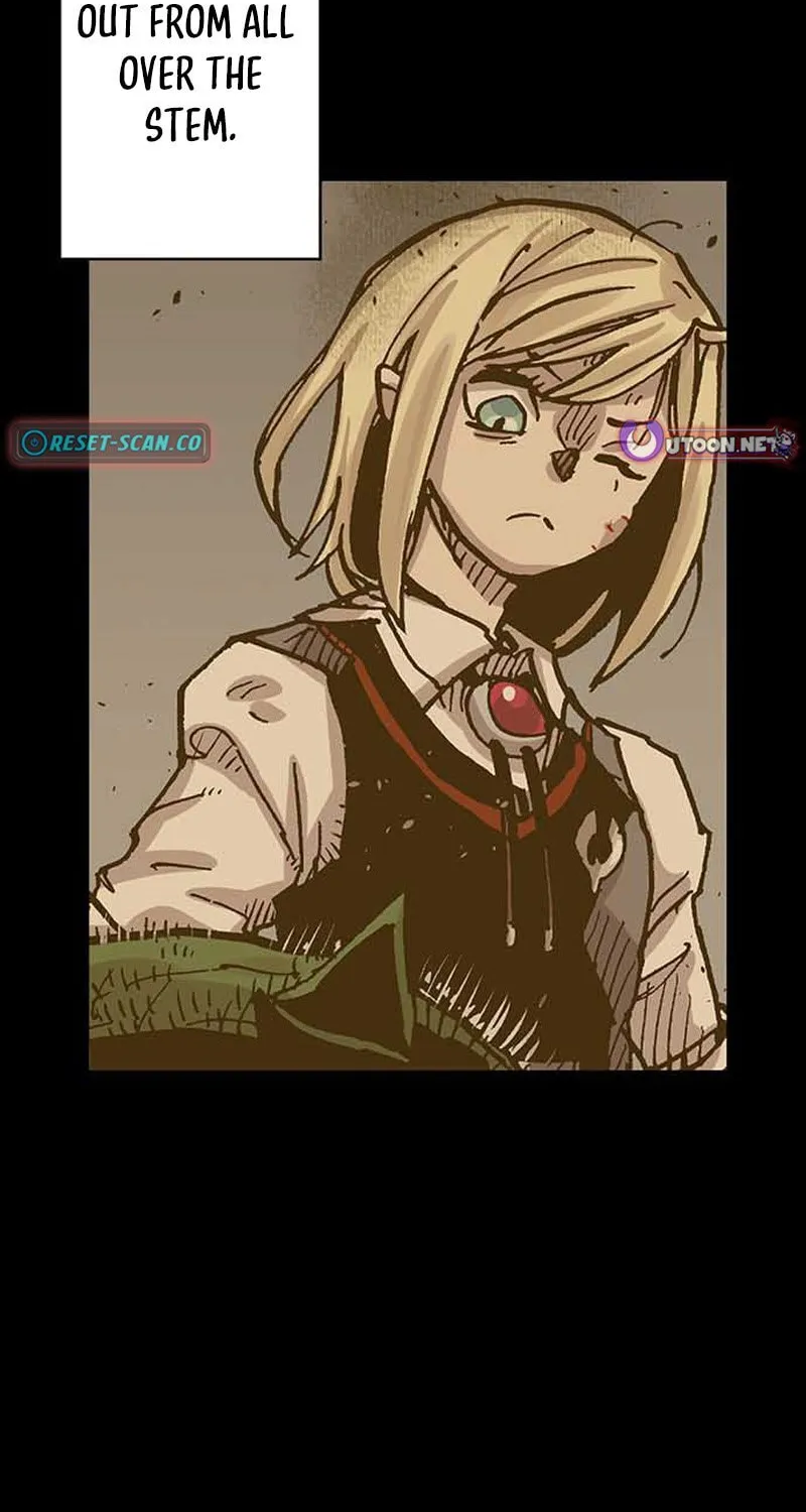 Clevatess (Colored)