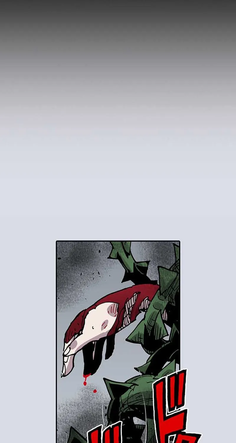 Clevatess (Colored)