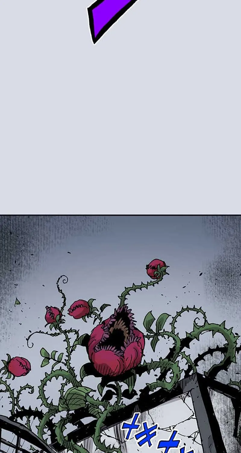 Clevatess (Colored)