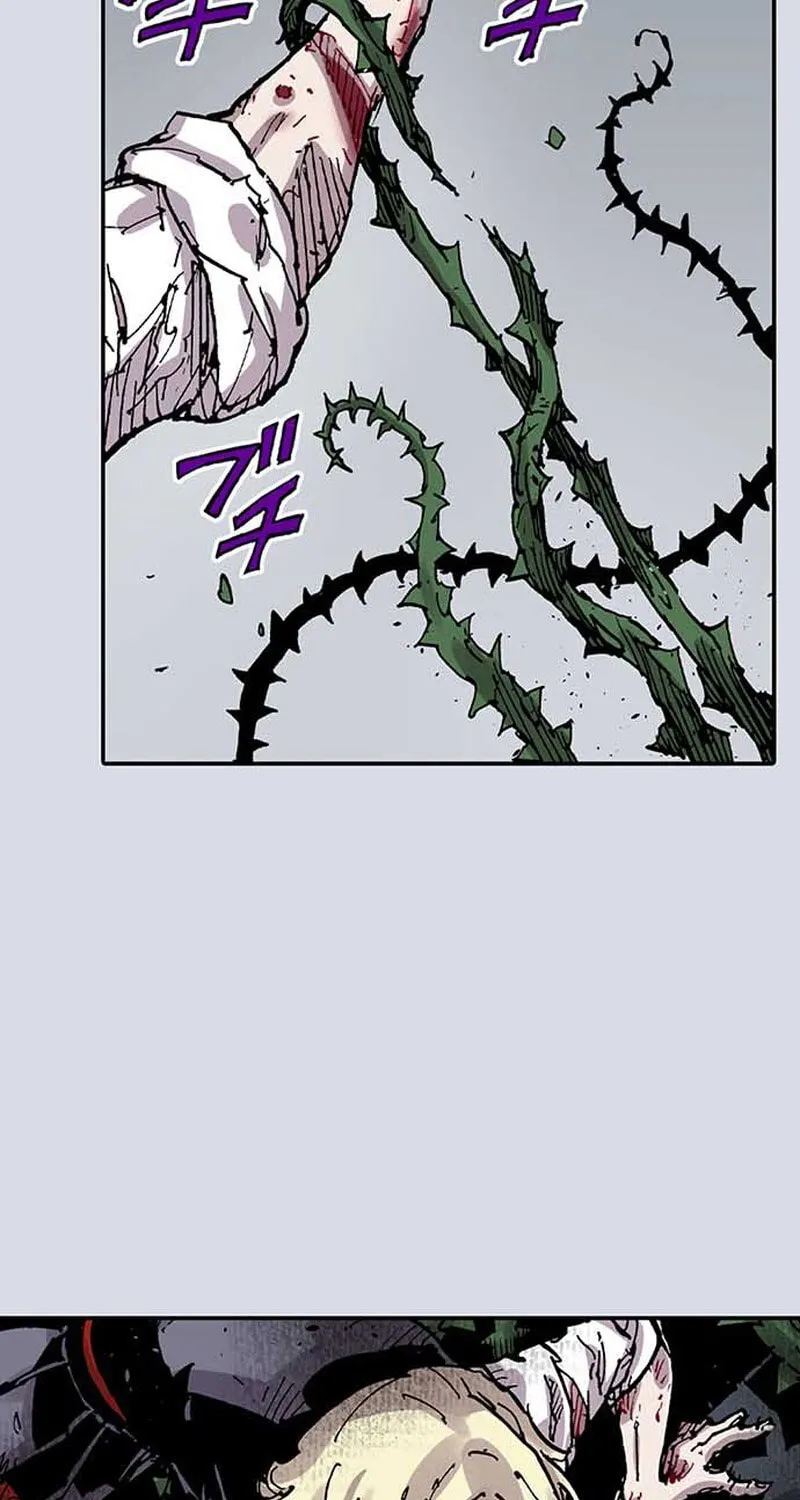 Clevatess (Colored)