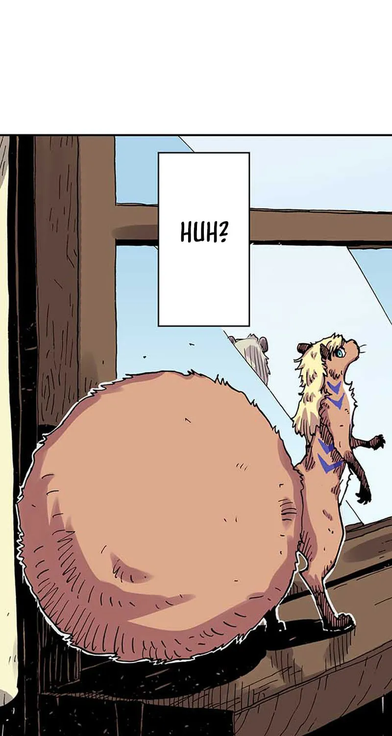 Clevatess (Colored)