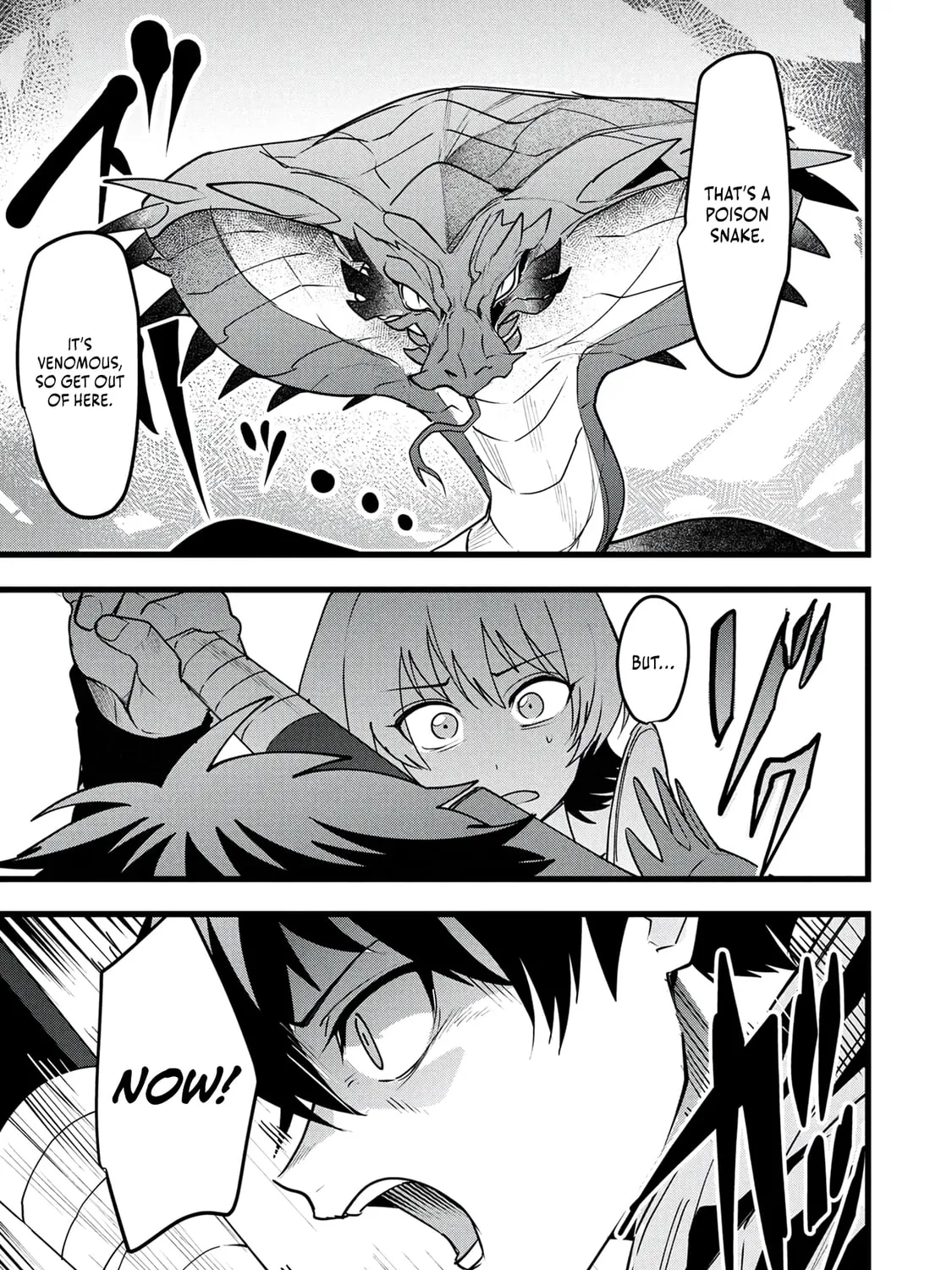 Chronicles of an Online Game Addict's Reincarnation in Another World