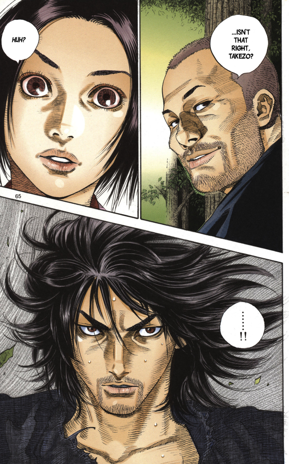Vagabond Manga