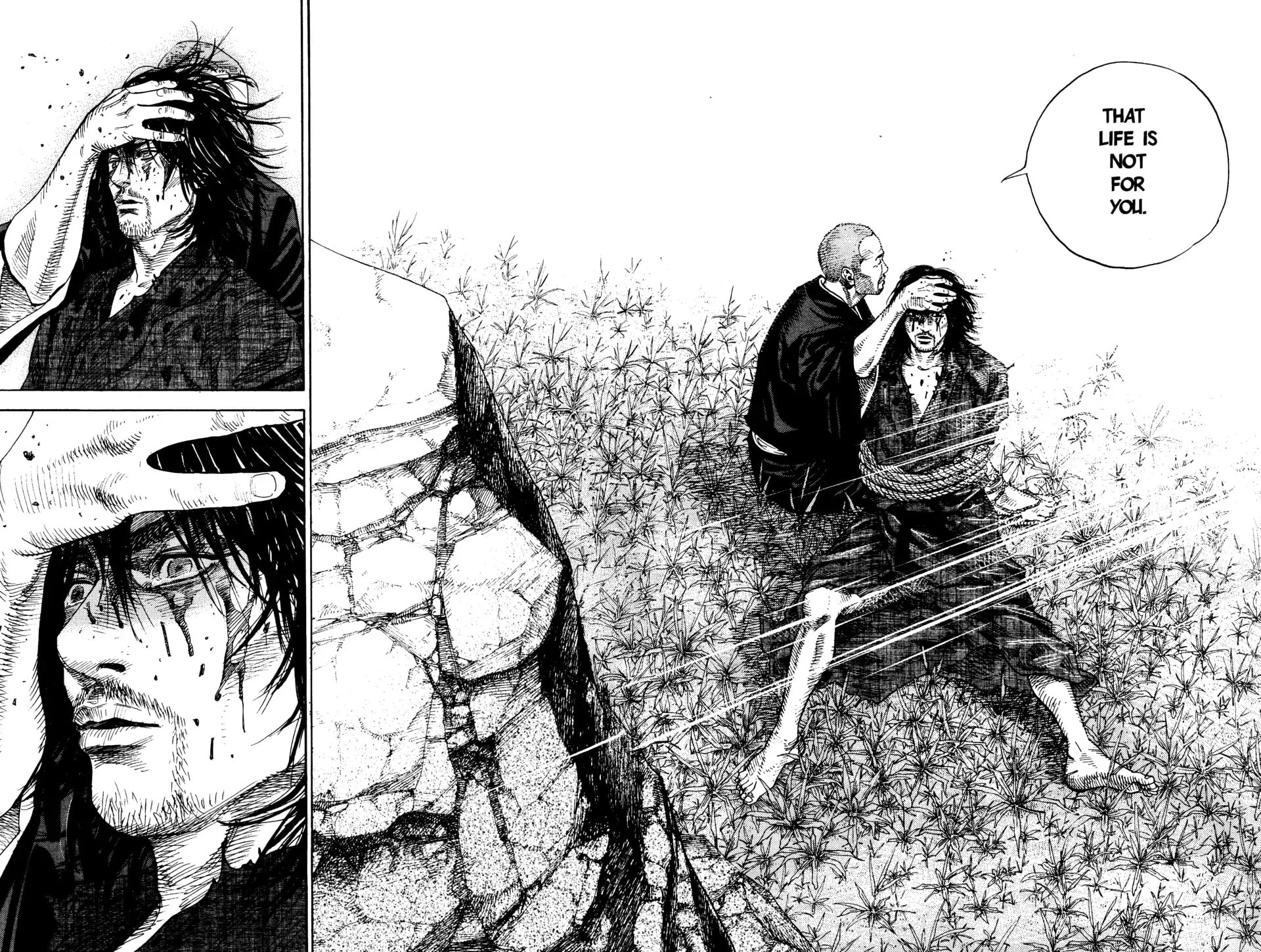 Vagabond Manga