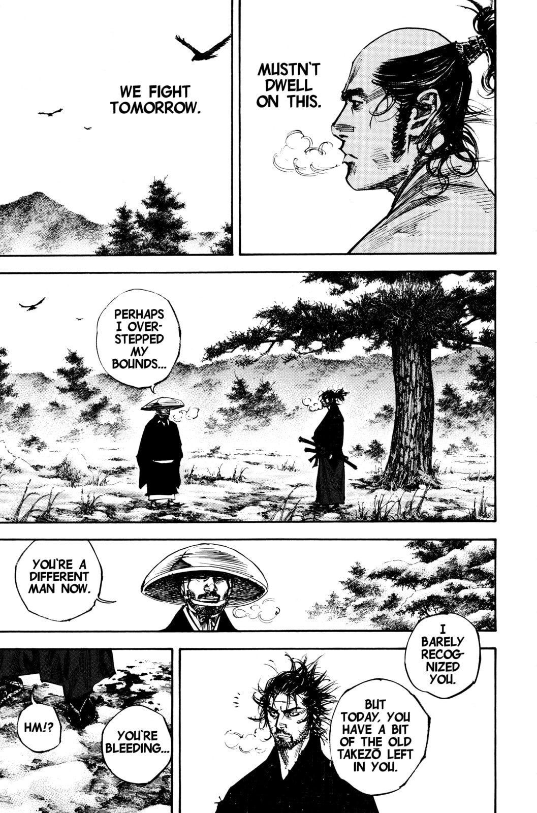 Vagabond Manga