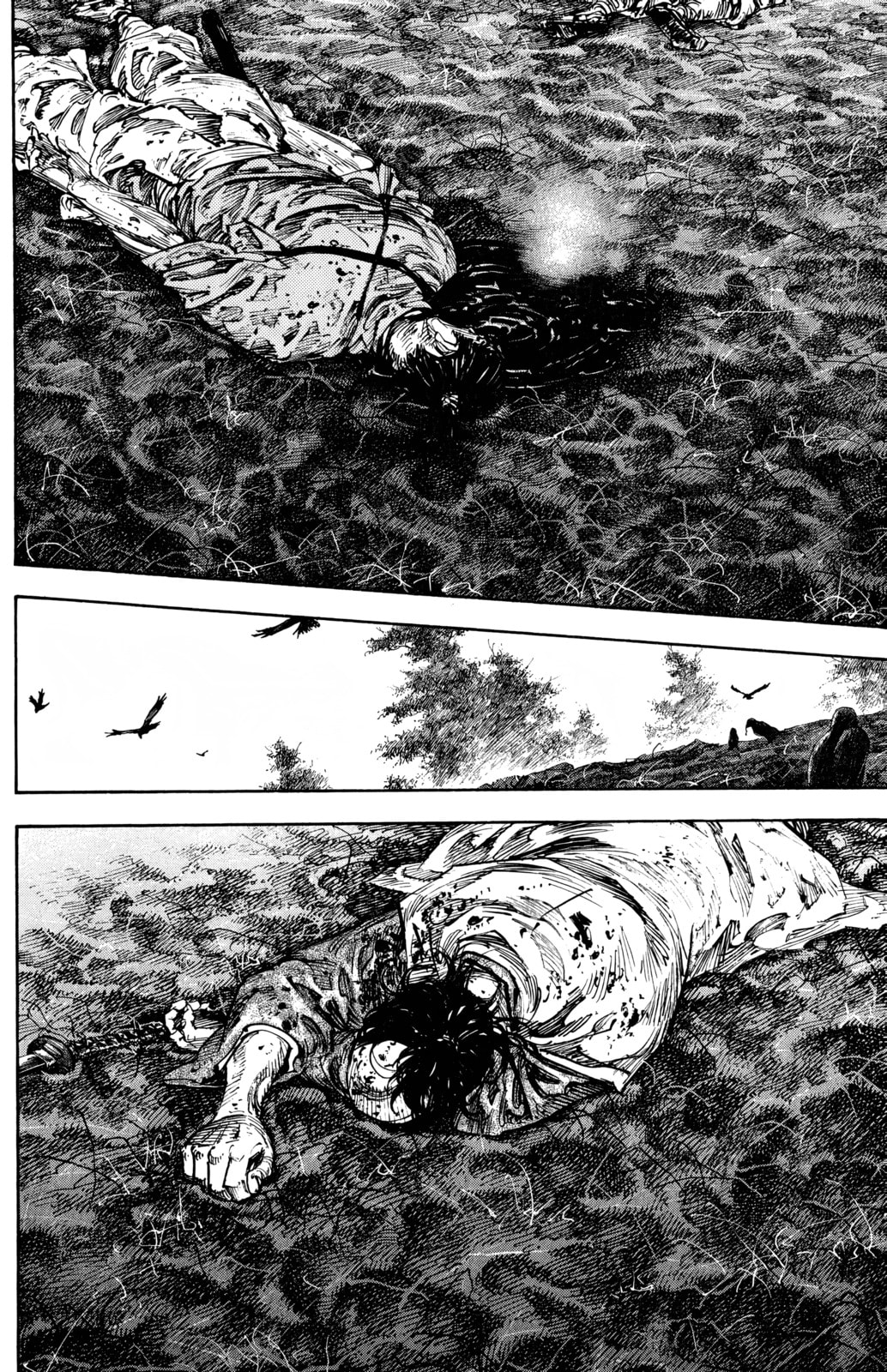 Vagabond Manga