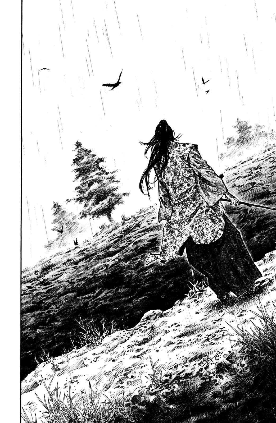 Vagabond Manga