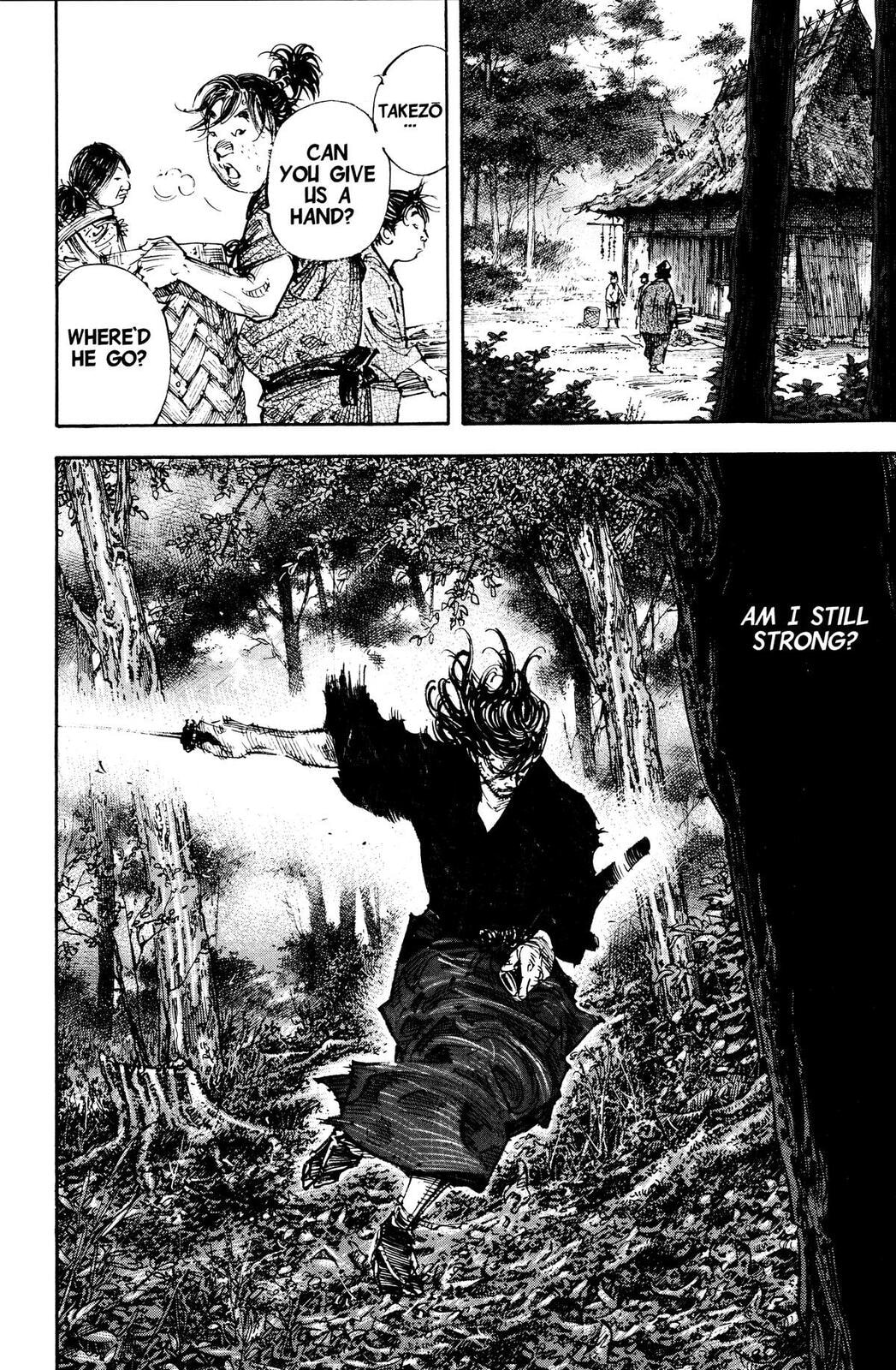 Vagabond Manga