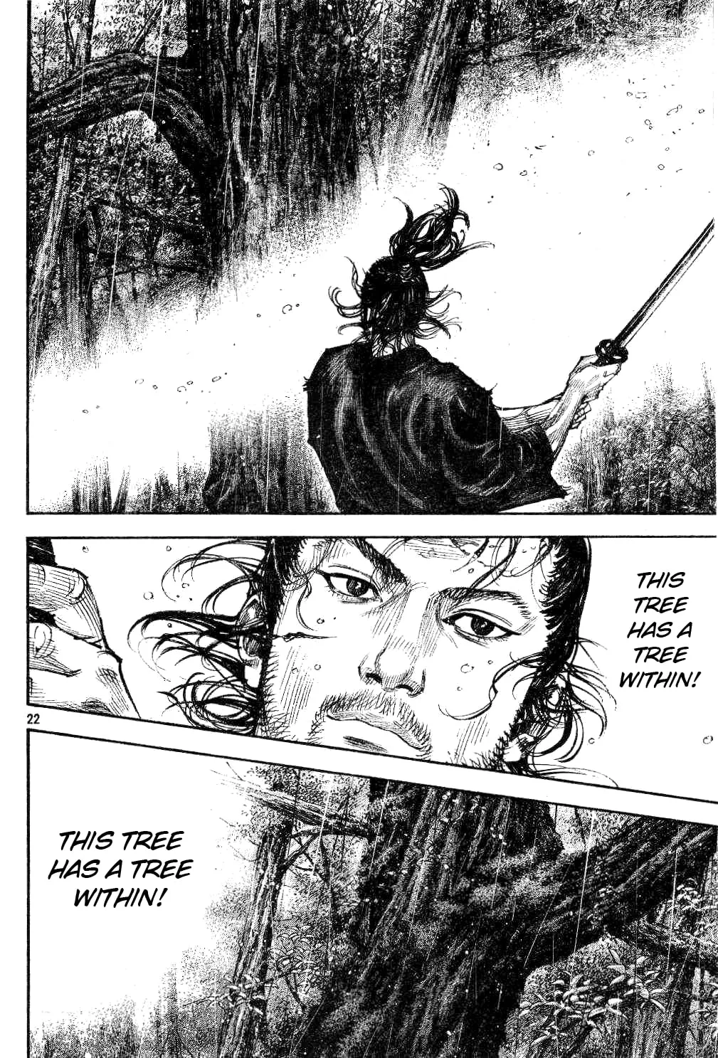 Vagabond Manga