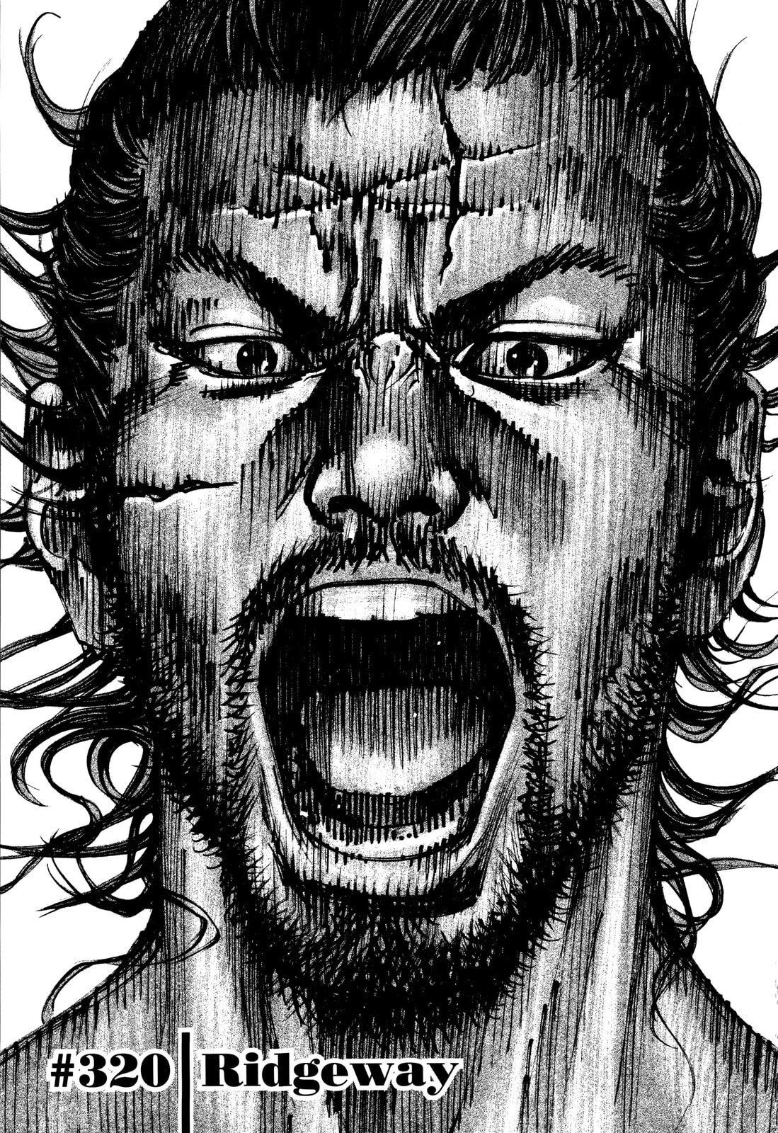 Vagabond Manga