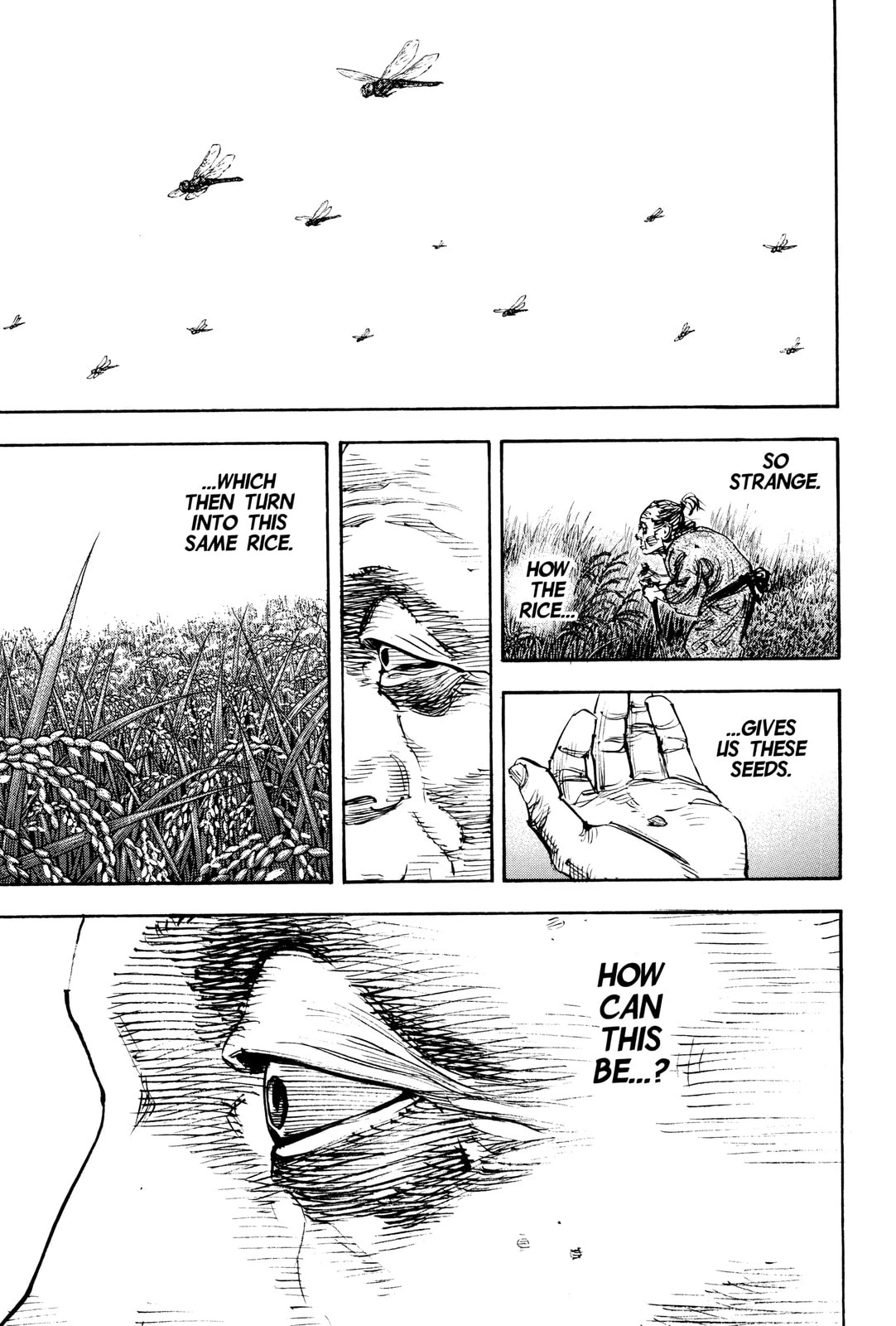 Vagabond Manga