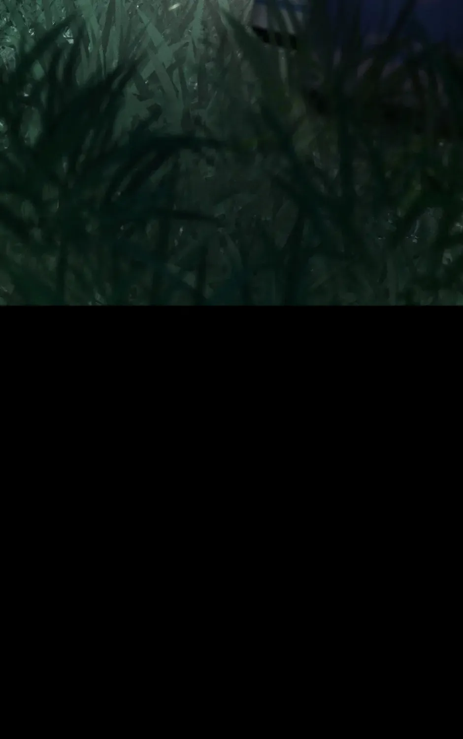 Rise of the God of War